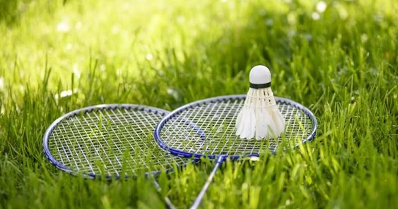 Top 10 Best Pro / Professional Badminton Rackets