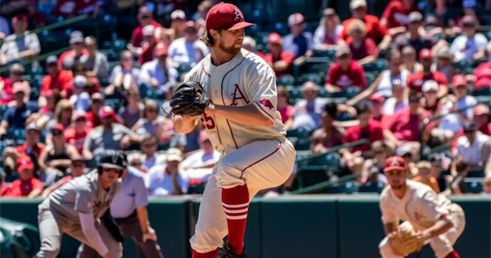 Top 10 Best Baseball Brands In The World (Ranked)