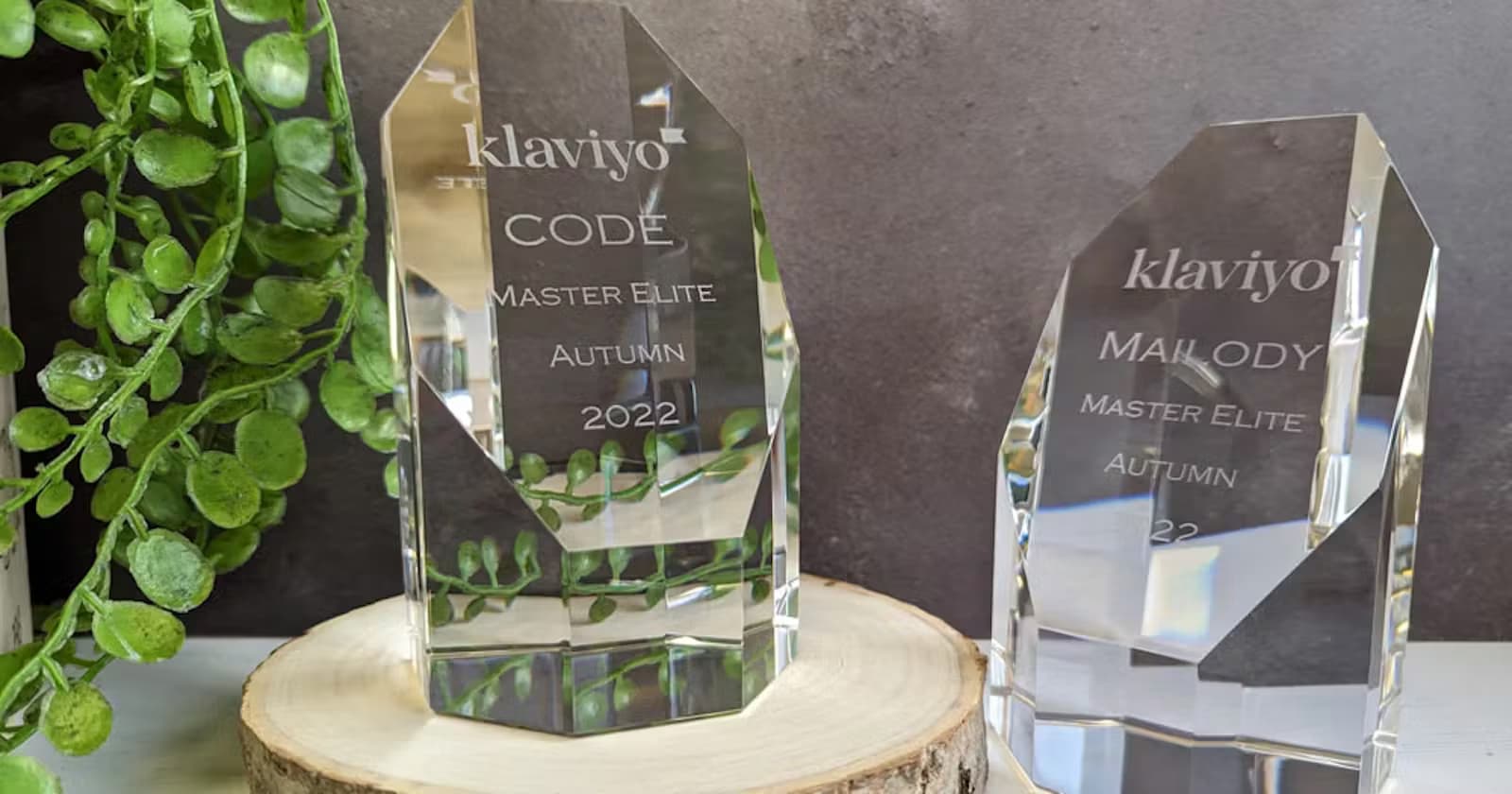 How to choose the right Corporate Awards for your business